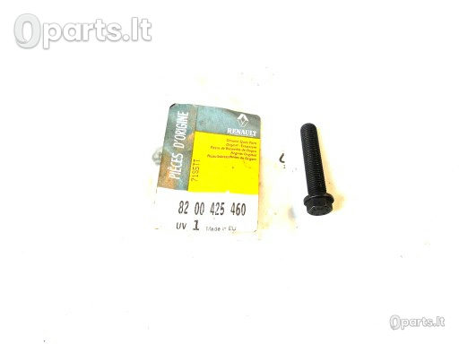 Švaistiklio dangtelio tvirtinimo varžtas Renault · 8200425460