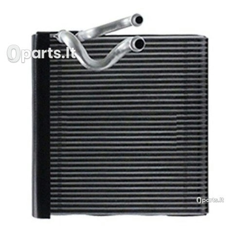 Garintuvai POLCAR 10- 60N1P8-1 · 272813365R