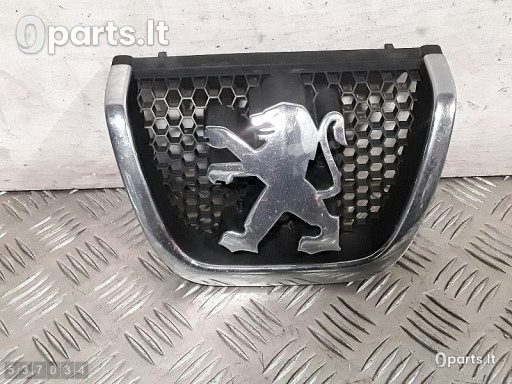 Gabaritiniai žibintai Peugeot 607
