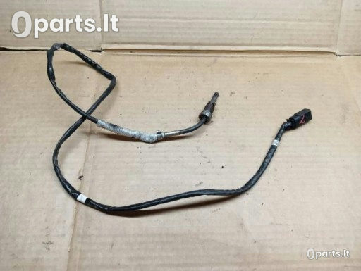 Išmetamųjų dujų temperatūros jutiklis Audi · 04L906088EQ