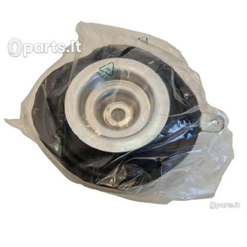 Montavimo detalės Renault Scenic I