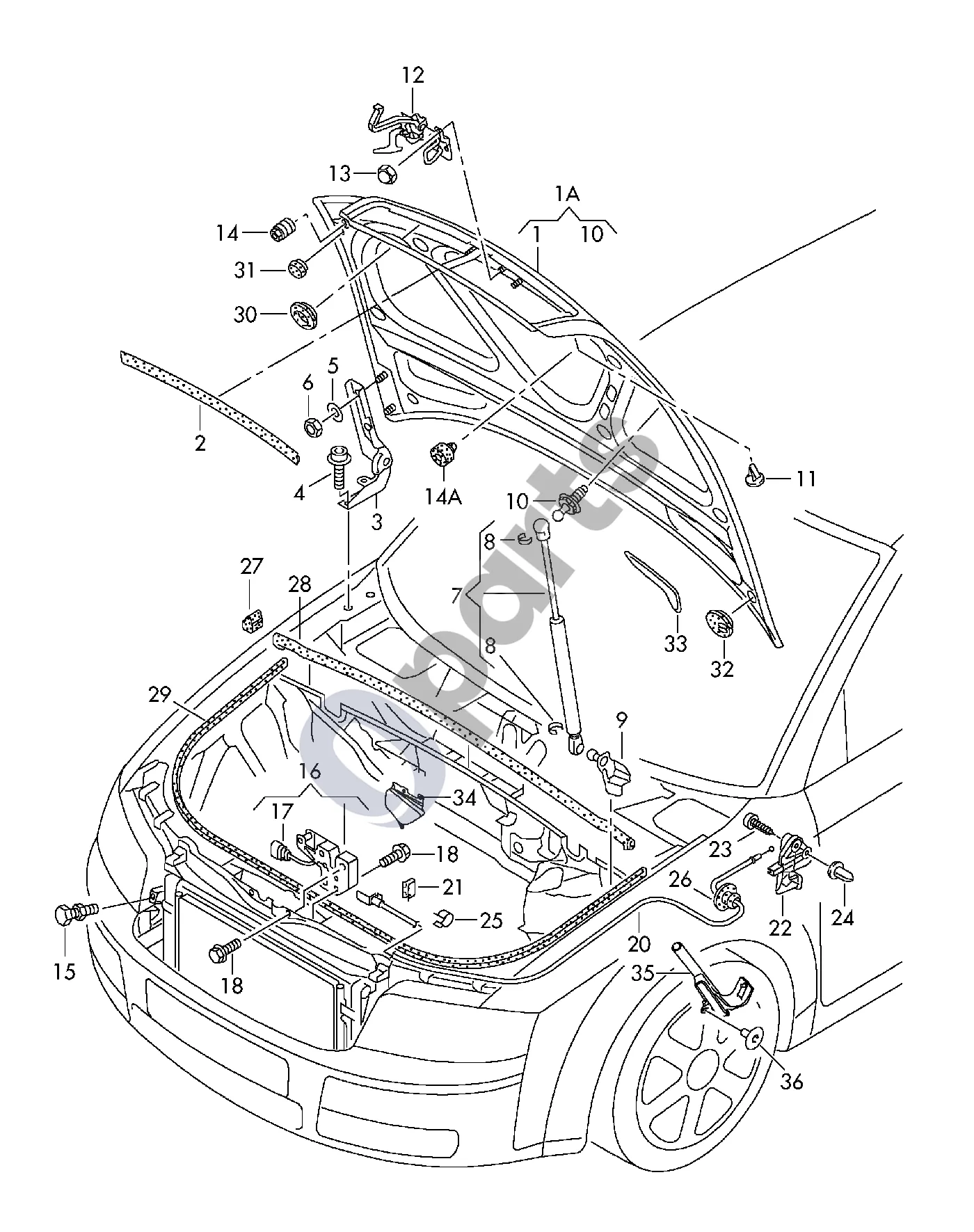 Audi A4 S4 B6 8E 8H (2001–2005) Variklio dangtis schema – pozicija 29: Sandariklis