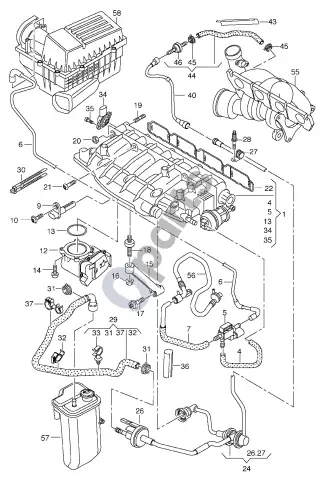 Audi Coupe (1980–2000) Mova – schema