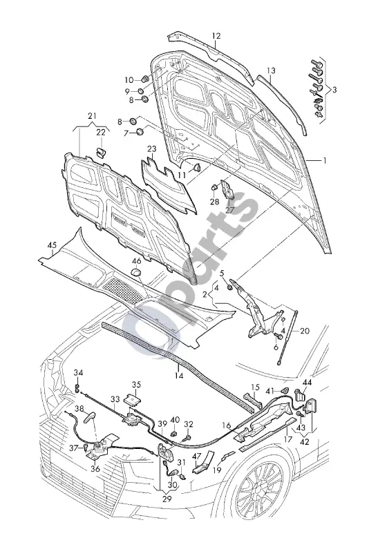 Audi RS4 B9 variklio dangtis – schema