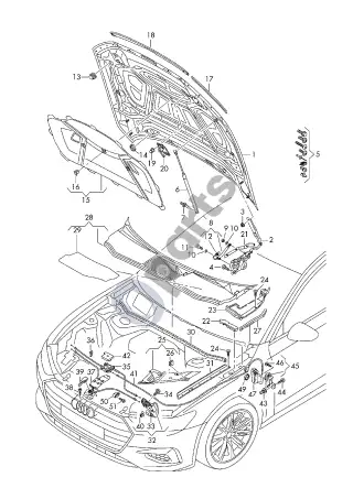 Audi RS6 C8 (2019–) Variklio dangtis – schema