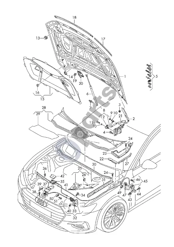 Audi RS6 C8 variklio dangtis – schema