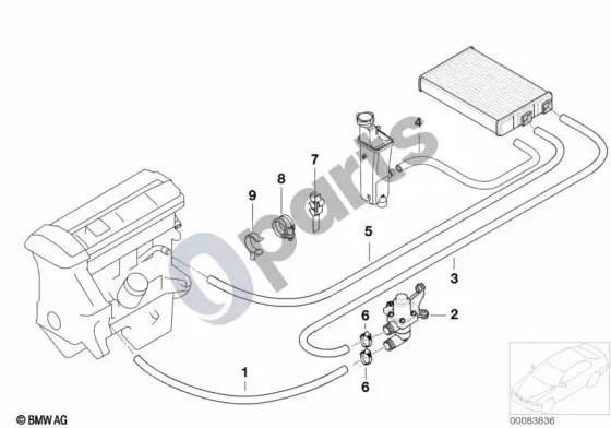 BMW 3 E46 vandens žarnos/vandens vožtuvas (M54) – schema