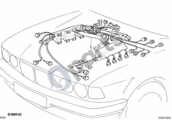 BMW 5 E39 variklio laidų pynė; 2000.03 - ... – schema