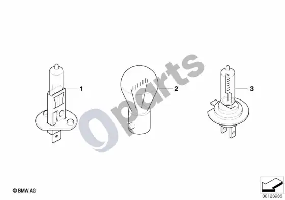 BMW Z3 E36 lemputės mėlynos – schema