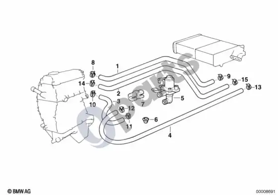 BMW Z3 E36 vandens vožtuvas / vandens žarna – schema