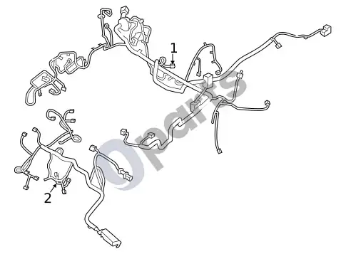 Ford Focus laidų pynė – schema