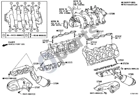 Lexus IS-F kolektorius – schema