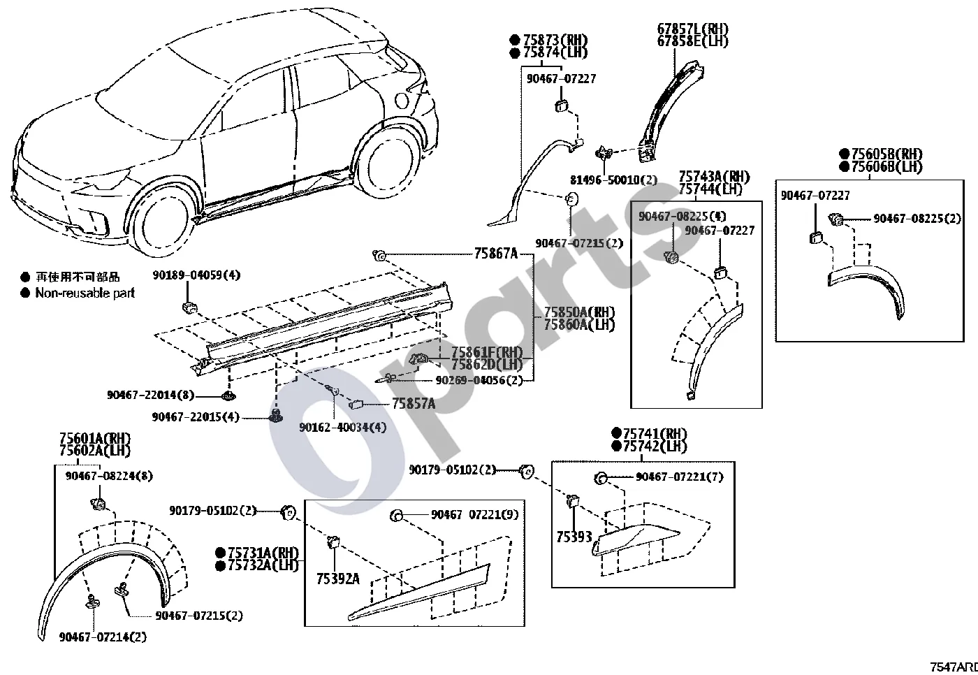 Lexus LBX (2024–) Šoninis lipdelis schema – pozicija 75601A: Priekinio sparno apdailos juostelė (mazgas), dešinė