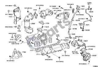 Toyota Corolla E120 E130 (2000–2004) Kolektorius – schema