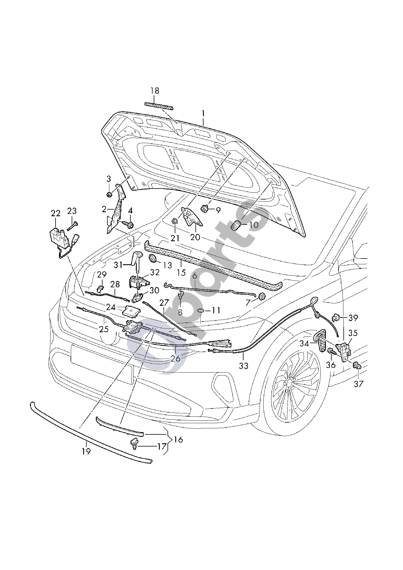 Volkswagen Taigo (2021–) Variklio dangtis schema – pozicija 6: Sklendės atrama